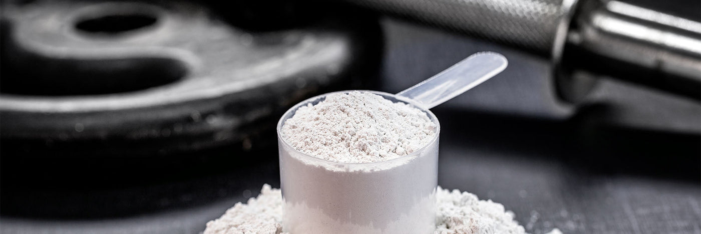 Creatine HCL vs Monohydrate: The Best Choice