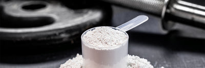 Creatine HCL vs Monohydrate: The Best Choice