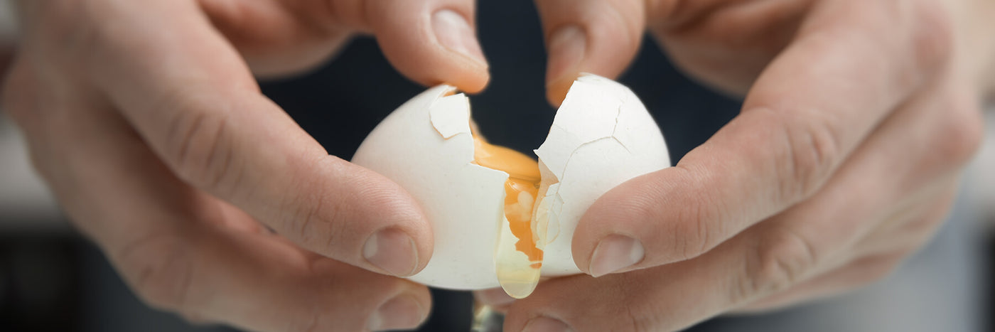 How Much Protein is in an Egg?