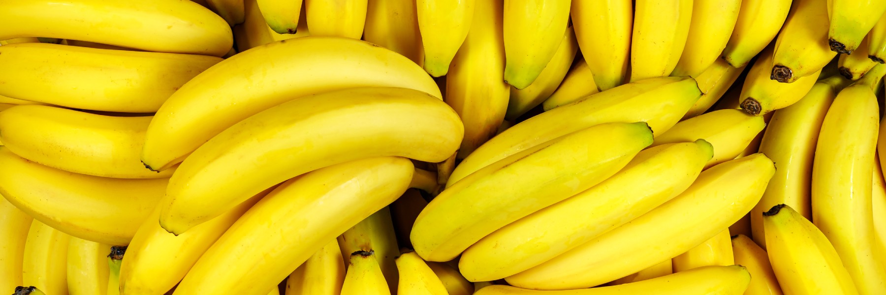 How Much Protein is in a Banana?