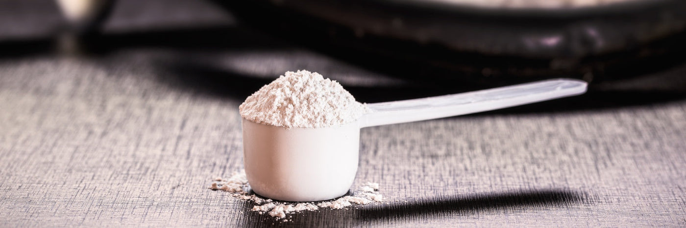 Different Types of Creatine: Which Is The Best?