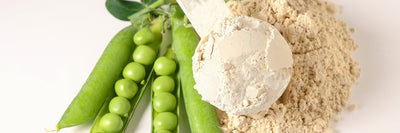 Vegan Protein Powder: A Guide to Plant-Based Protein