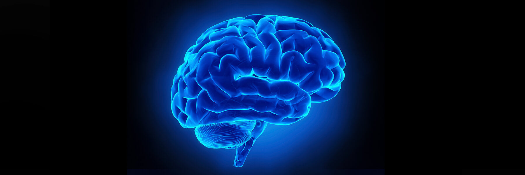 What Are Nootropics? Uses, Ingredients, Safety, and How They Work