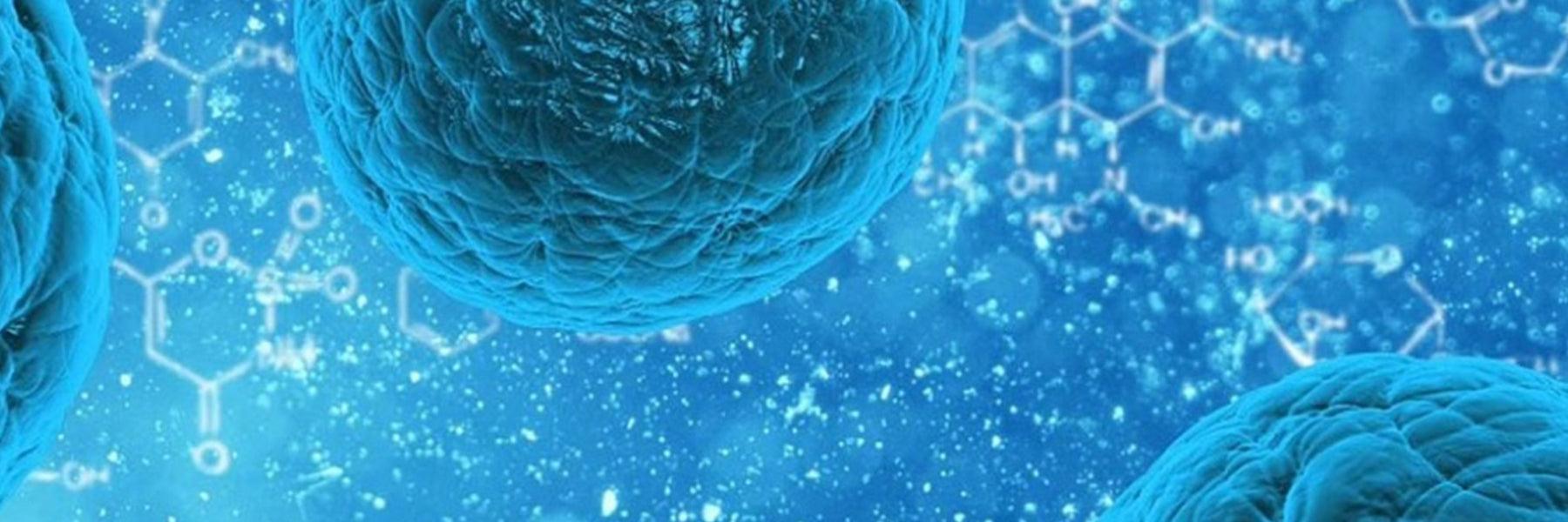 Free Radicals