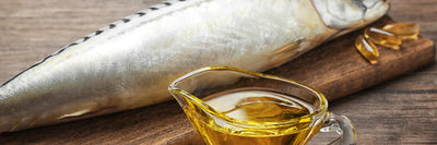 What Are the Benefits of Fish Oil Pills?