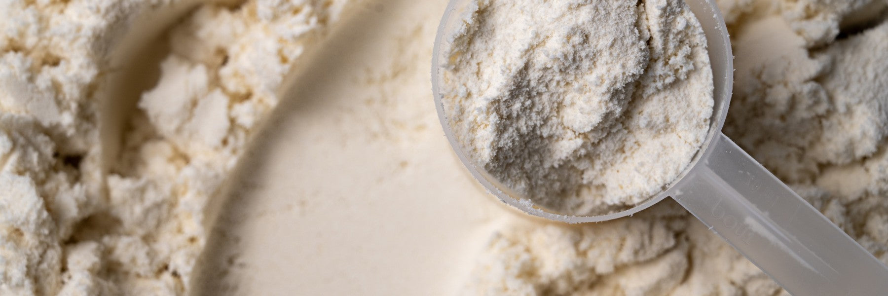 Which is Better: Whey Protein or Casein?