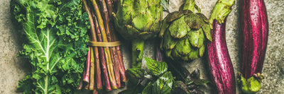 Prebiotics vs Probiotics