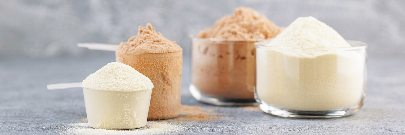 Whey Protein Vs. Plant-Based Protein: Making The Best Choice