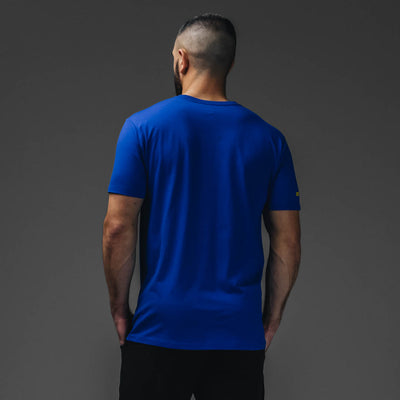 #color_royal-blue-gold