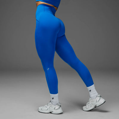 #color_blue-jay-new